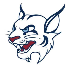 St. Thomas University banner logo