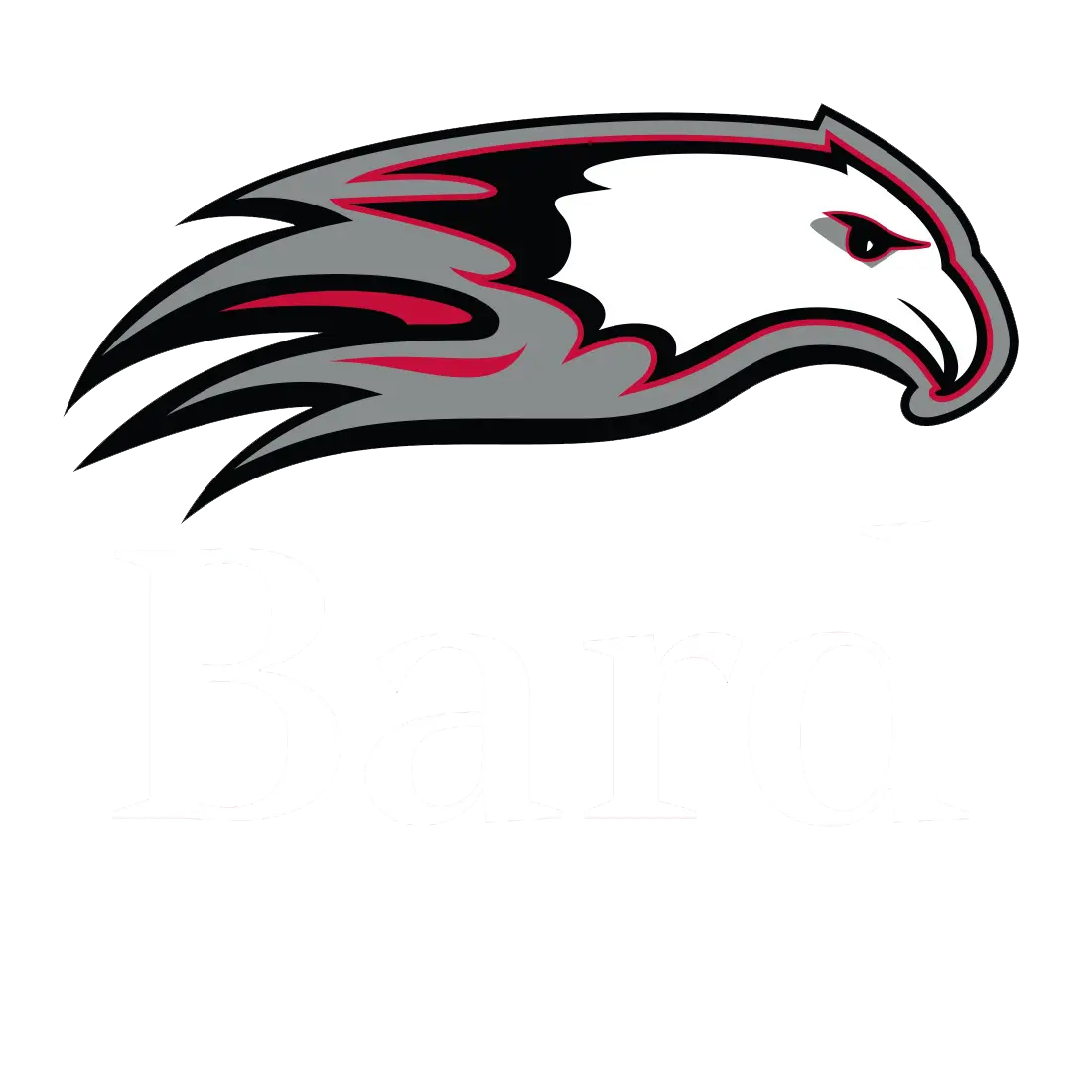 Bard College