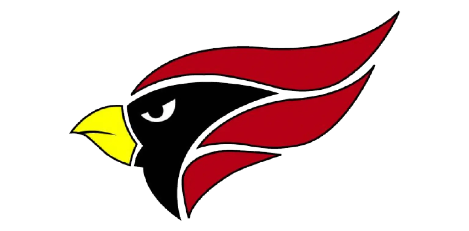 North Central College