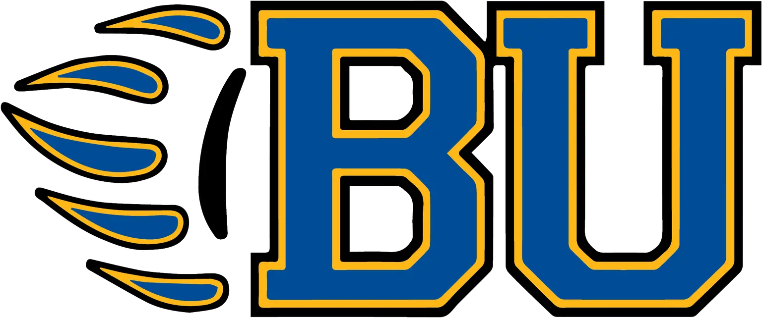 Brescia University