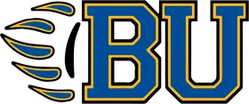Brescia University banner logo