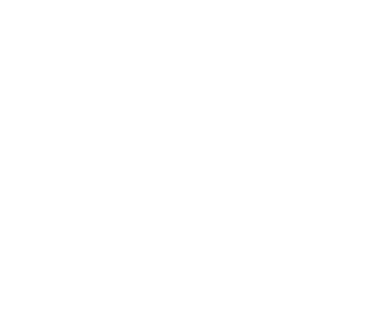 University of North Georgia