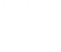 University of North Georgia banner logo