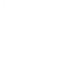University of North Georgia banner logo