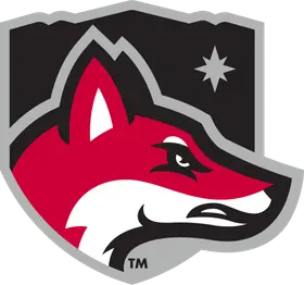 North Greenville University banner logo
