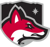 North Greenville University banner logo