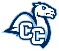 Connecticut College banner logo