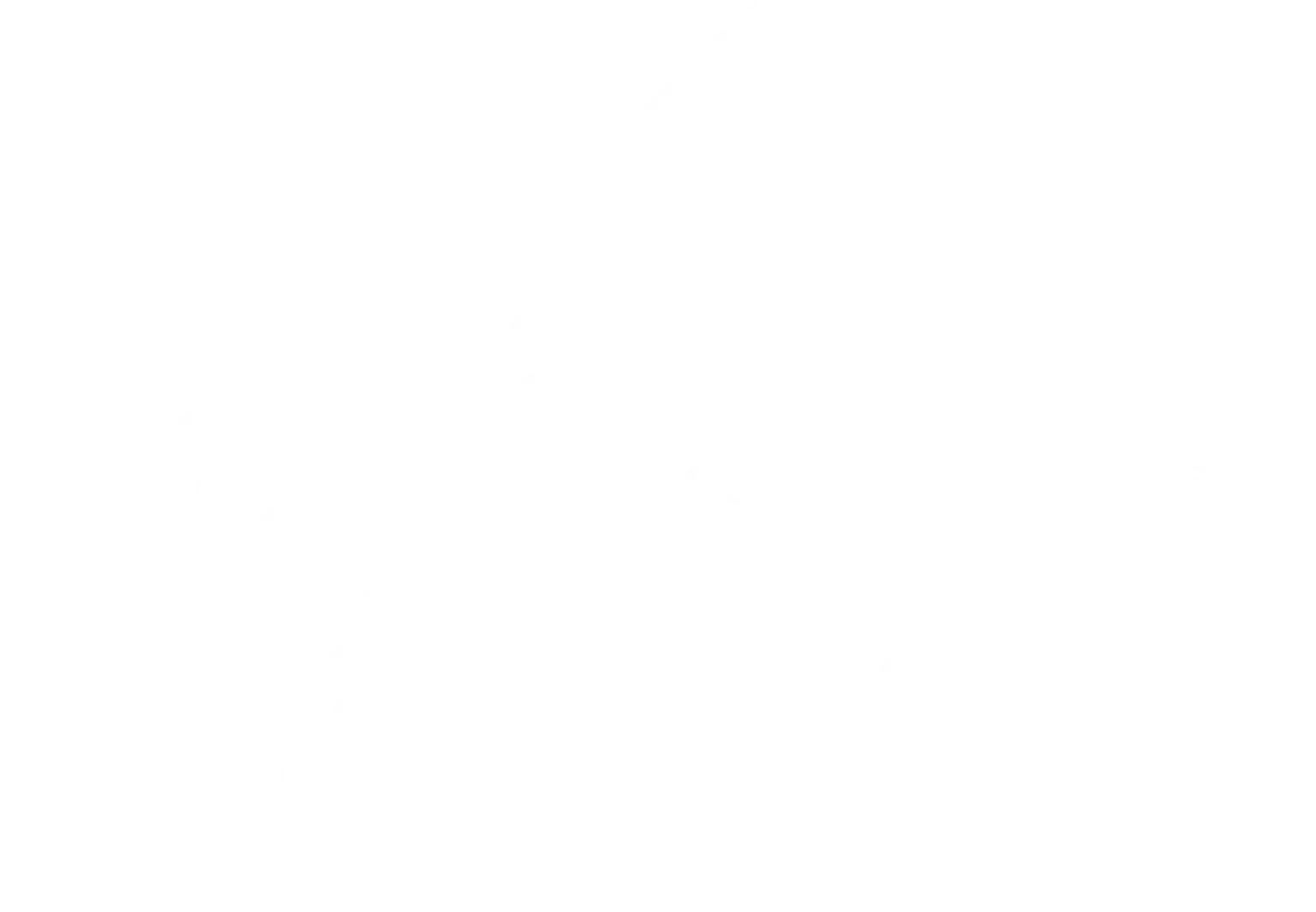 Converse University