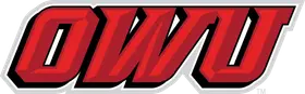 Ohio Wesleyan University banner logo