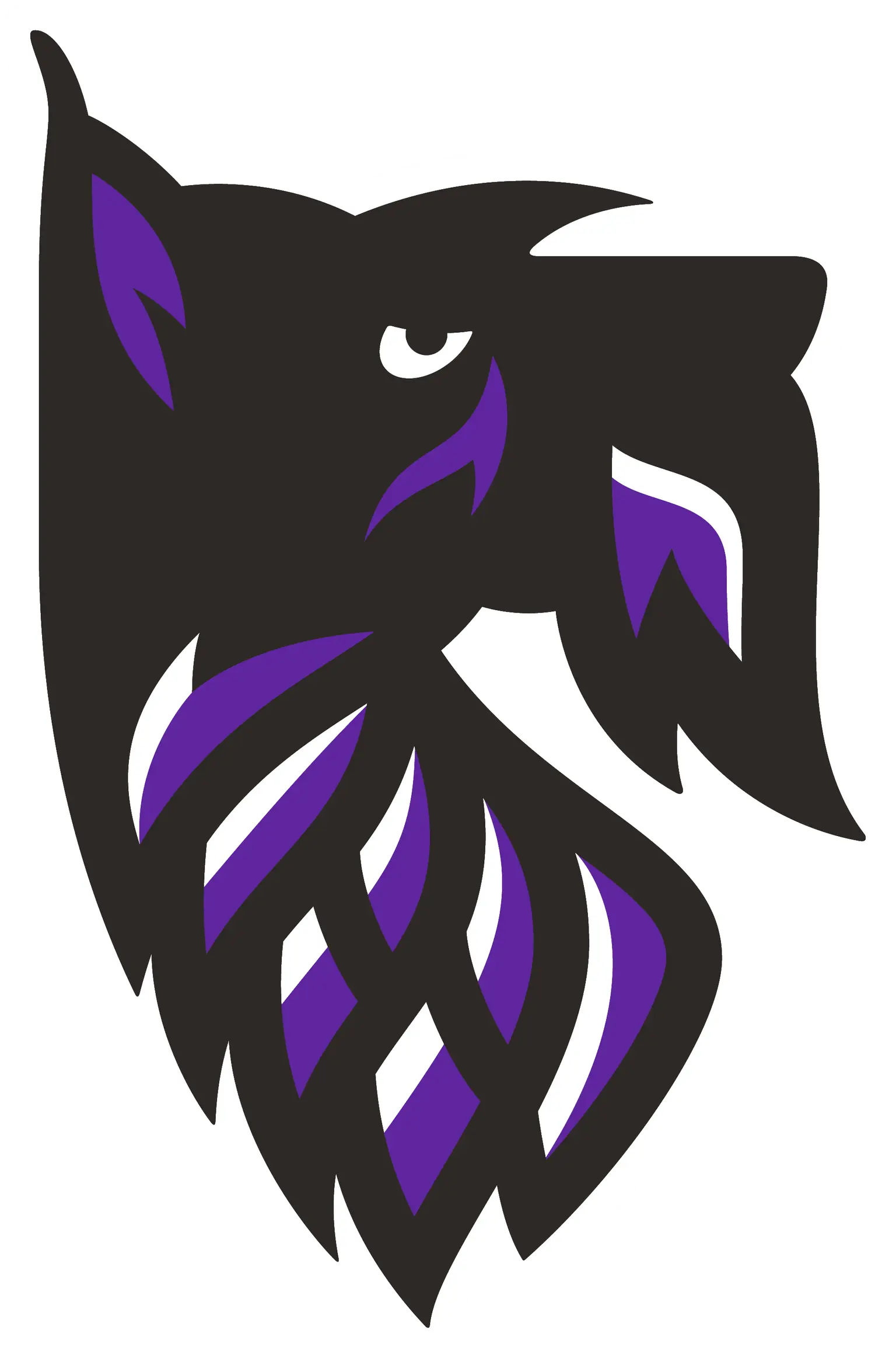 Agnes Scott College