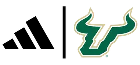 University of South Florida banner logo