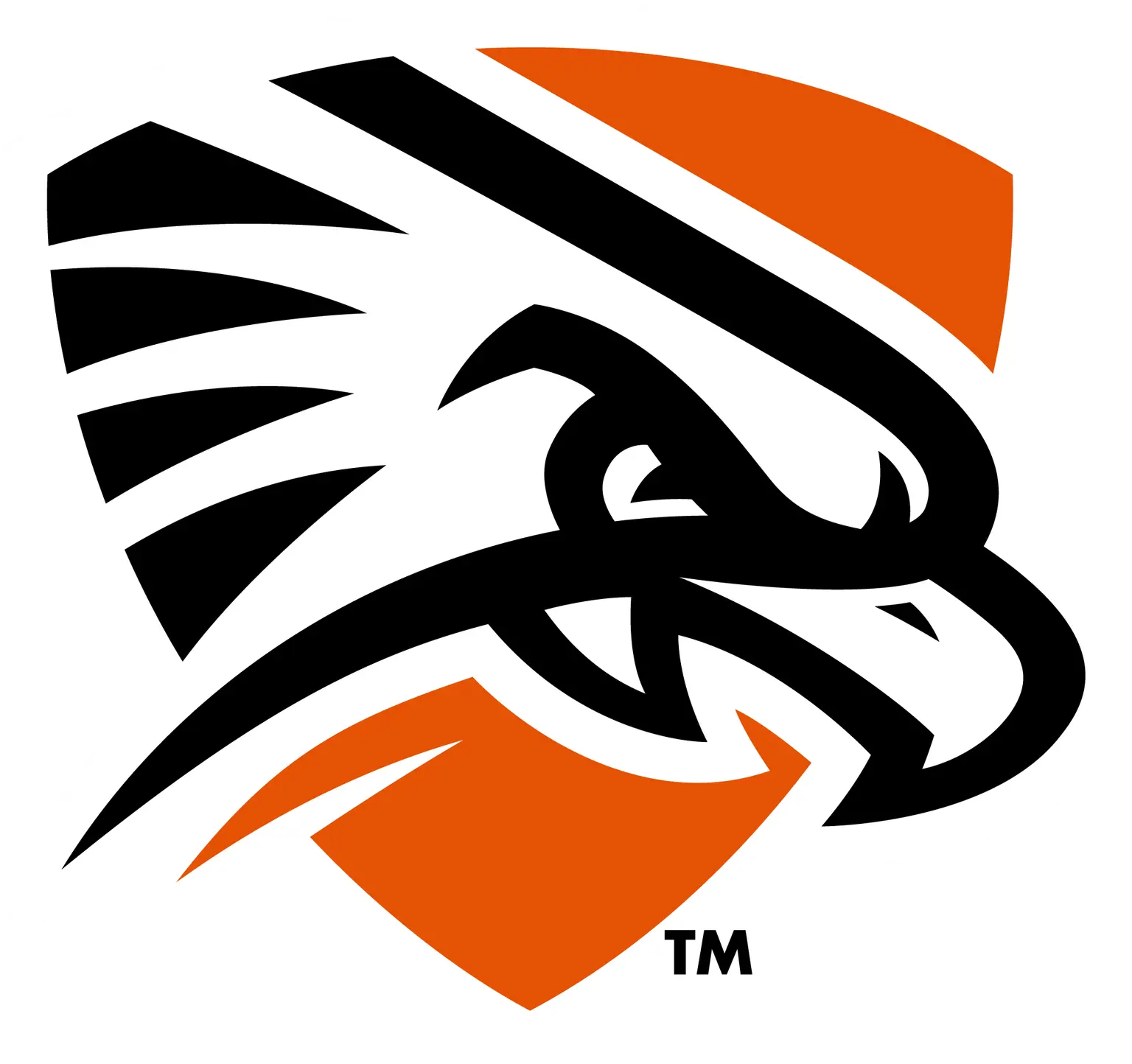 The University of Texas Permian Basin