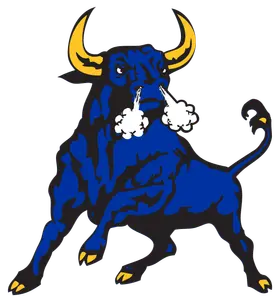 Northwestern Senior High banner logo