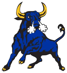 Northwestern Senior High banner logo