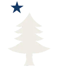 The Maine Flag Store banner logo
