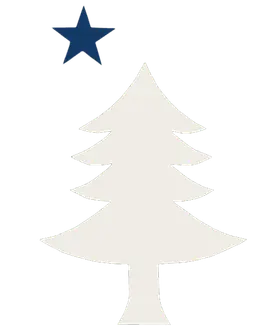 The Maine Flag Store banner logo