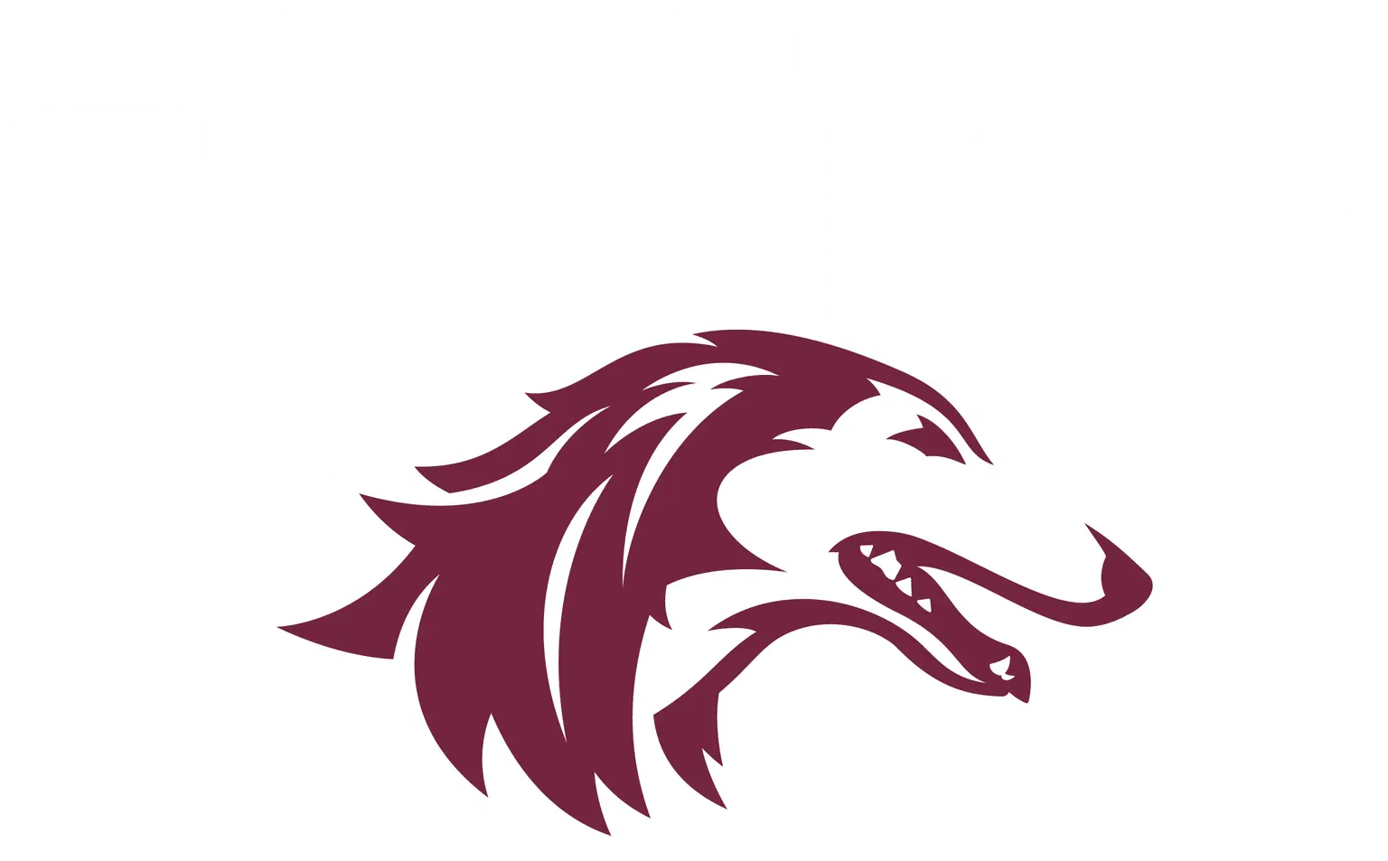 Southern Illinois University