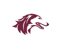 Southern Illinois University banner logo