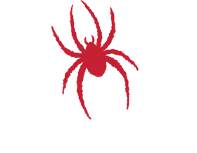 University of Richmond banner logo