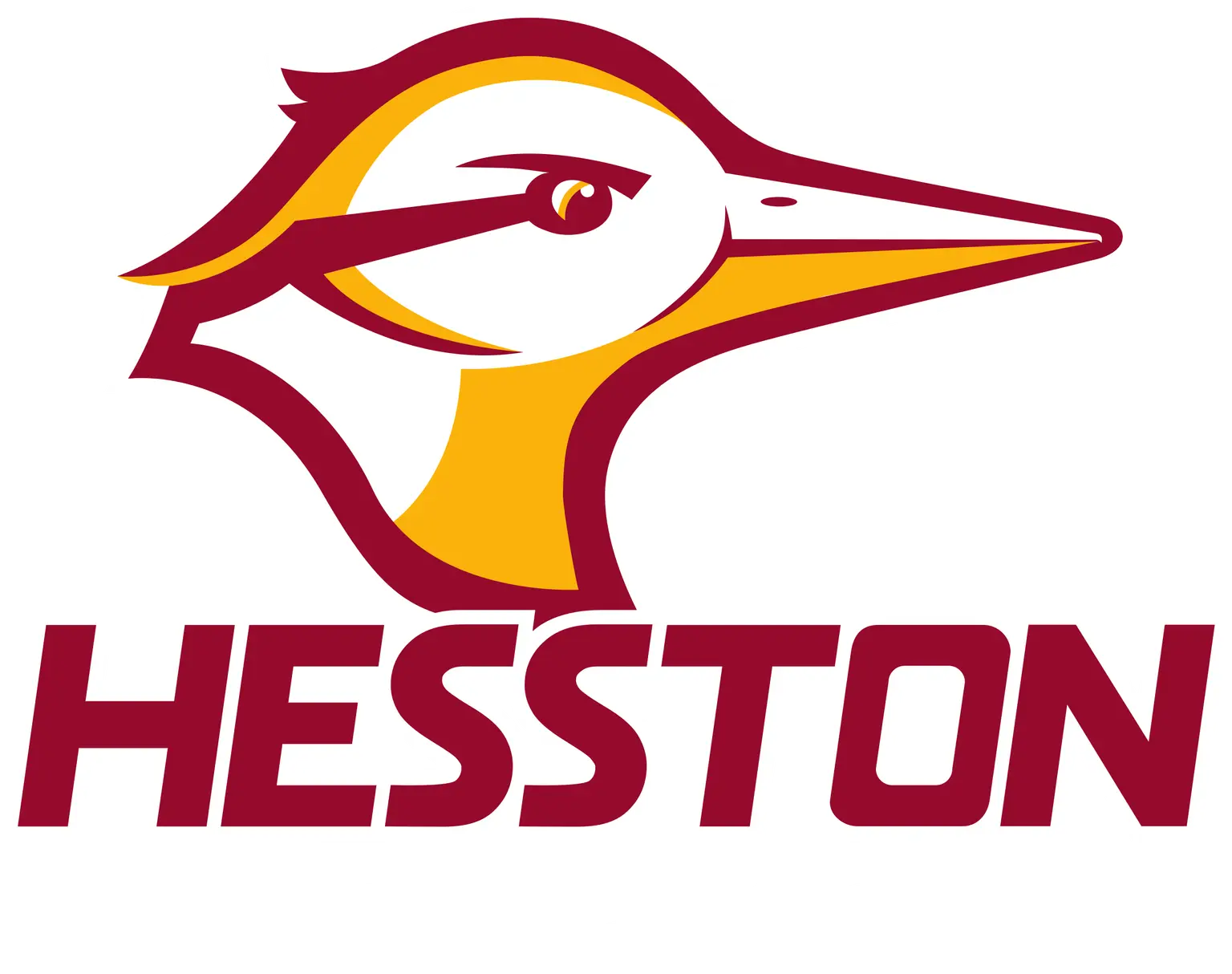 Hesston College