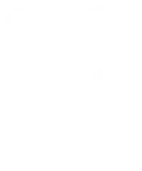 Rice University banner logo