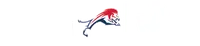 Chaminade–Madonna College Preparatory School banner logo