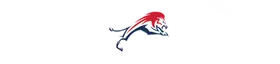 Chaminade–Madonna College Preparatory School banner logo