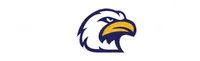 Liberty North High School banner logo