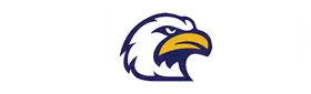Liberty North High School banner logo