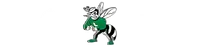 Lincoln High School banner logo