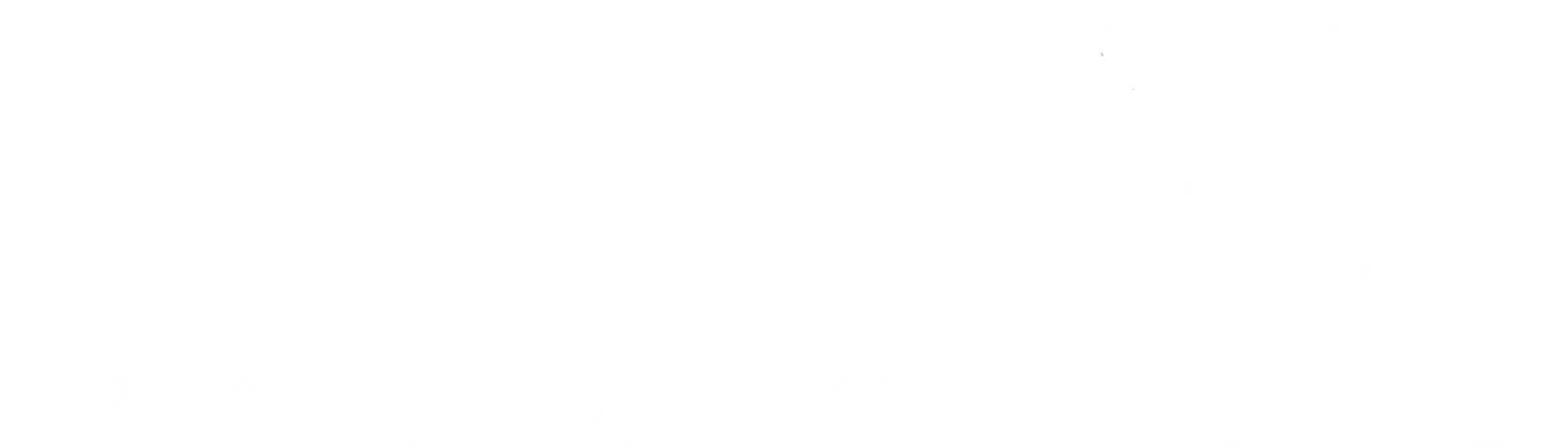 Southside Bar and Grille