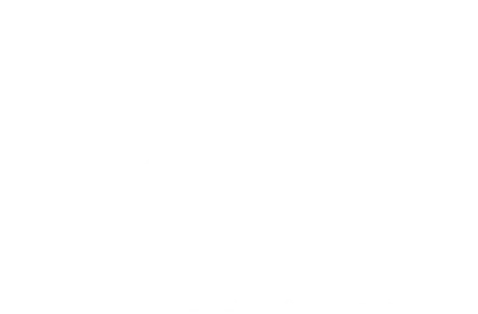 Acoustics Associates Inc.