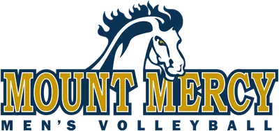 MEN'S VOLLEYBALL