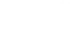 GT Performance Consulting banner logo