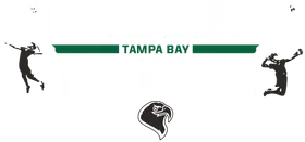 Tampa Bay Eagles banner logo