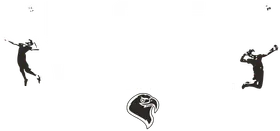 Tampa Bay Eagles banner logo