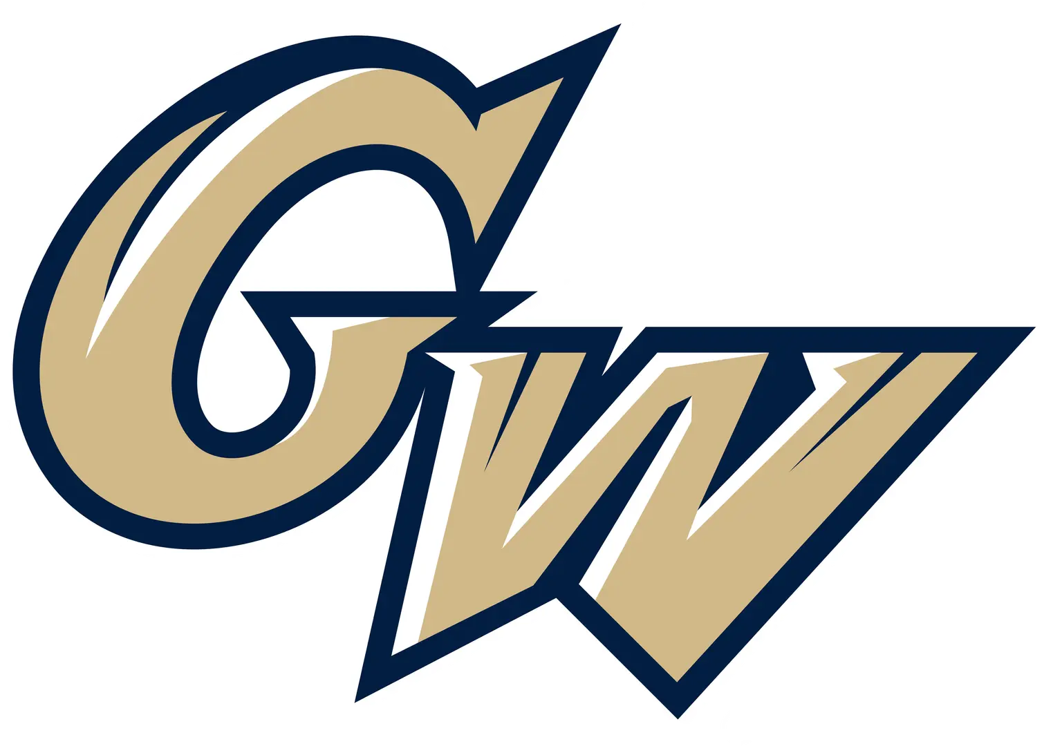 George Washington University