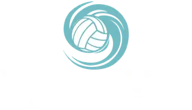 Vienna Elite Volleyball Club banner logo