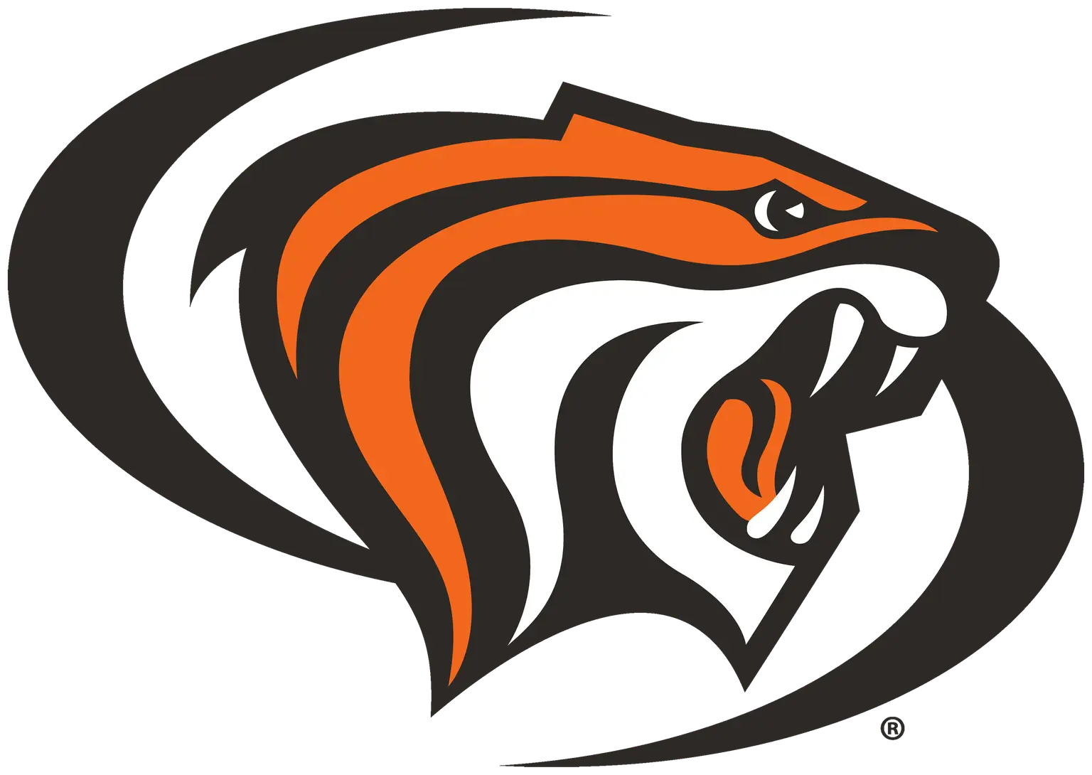 University of the Pacific