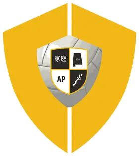 Performance Youth Academy banner logo