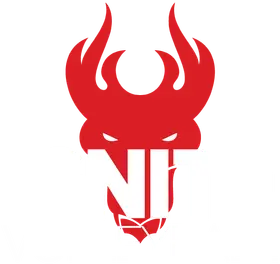 Ignite Volleyball Club banner logo