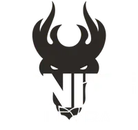 Ignite Volleyball Club banner logo