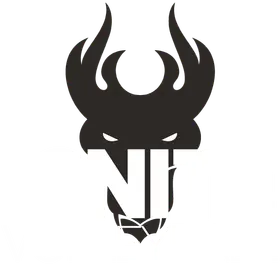 Ignite Volleyball Club banner logo