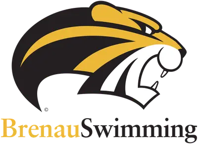 SWIMMING & DIVING