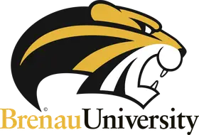 Brenau University banner logo
