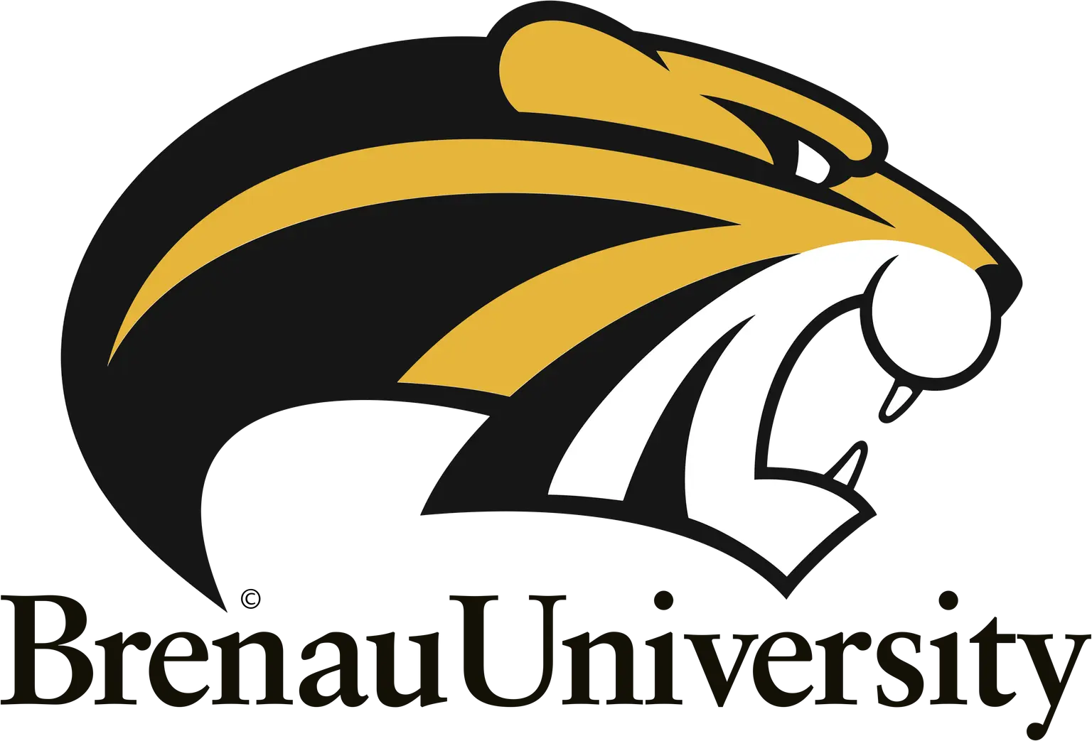 Brenau University
