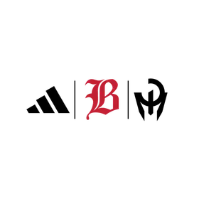 Baylor School banner logo