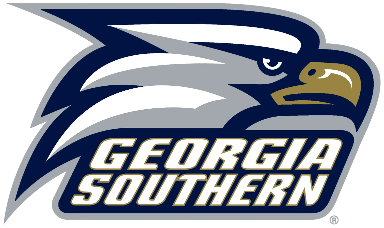 Georgia Southern University