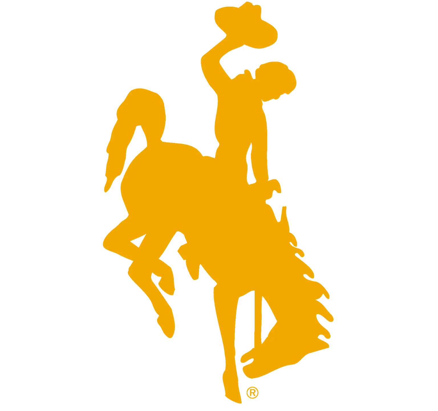 University of Wyoming