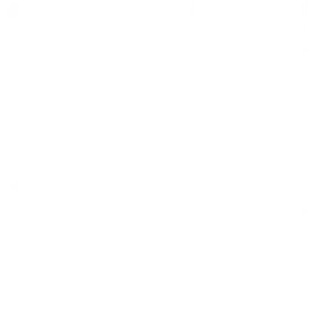 Mana Toa Volleyball banner logo